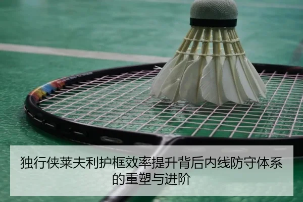 独行侠莱夫利护框效率提升背后内线防守体系的重塑与进阶